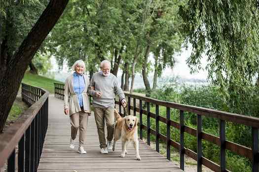 Tips for Aging Adults